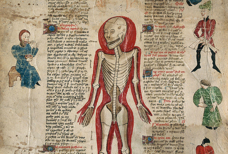 Illustration for article titled 10 Worst Misconceptions About Medieval Life You'd Get From Fantasy Books